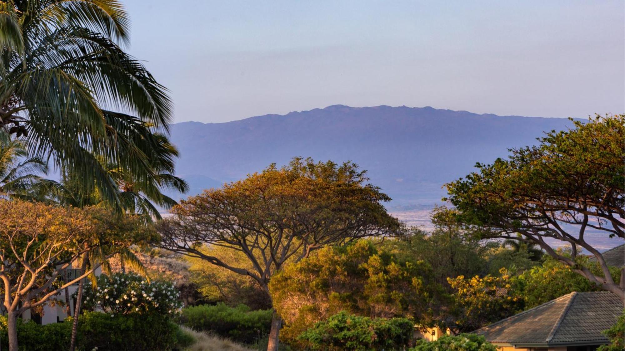 A Sea-Nic Escape Scenic 3Br Waiulaula Home With Ocean View Hapuna Beach Exterior photo